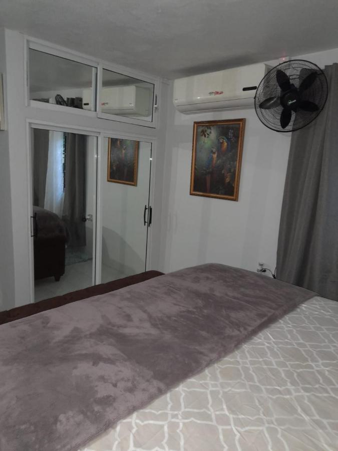 Zipcode Hideaway Guesthouse ポートモア エクステリア 写真